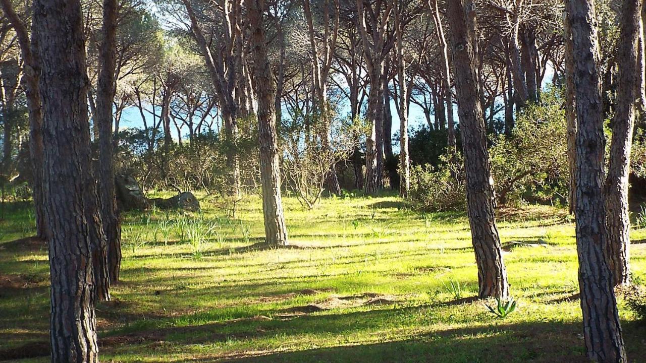 Villetta Con Giardino A Budoni Exterior photo